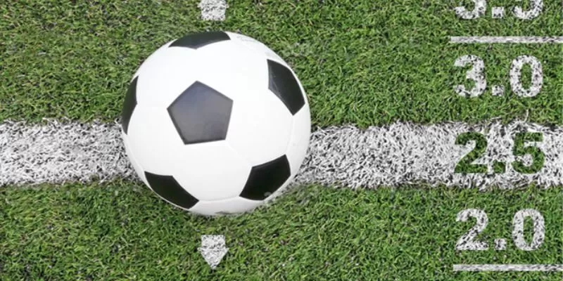 Cược t&agrave;i xỉu hiện tại cũng phổ biến v&igrave; tỷ lệ trả thưởng cao&nbsp;