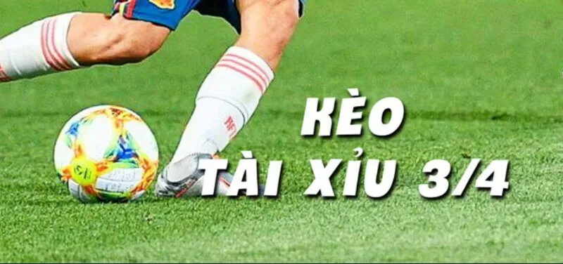 Chỉ n&ecirc;n tham gia k&egrave;o cược khi chắc thắng 70%